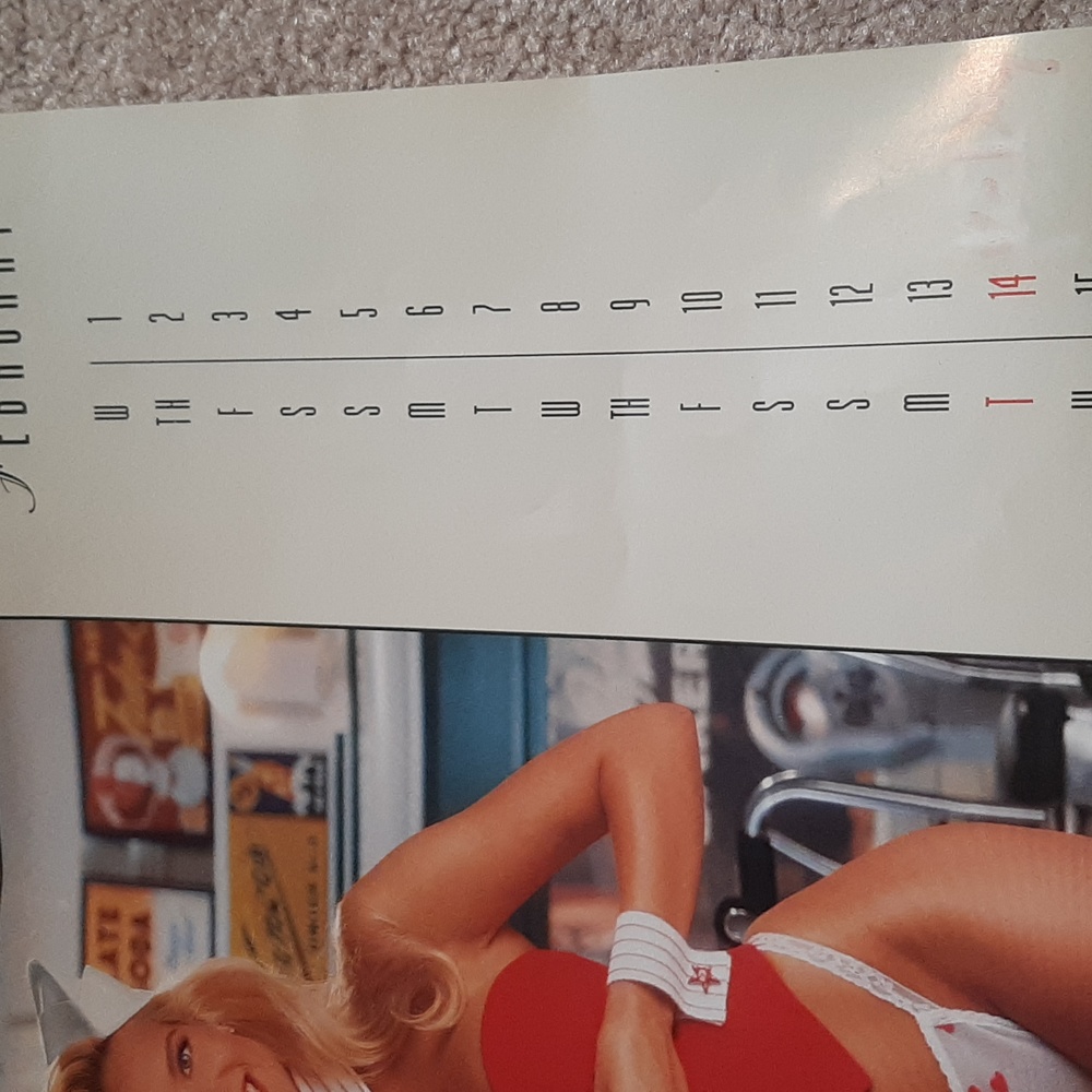 Vtg. 1995 Playboy Calendar - Picture 3 of 8